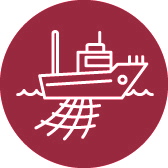 Commercial-fishing-icon
