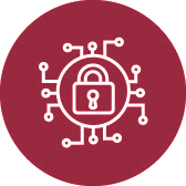 Cyber-Security-icon